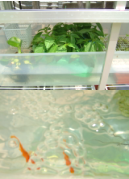 �x�W�g�����ŋ���������