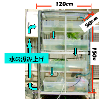 �x�W�g�����T�O�}