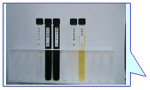 洗浄前、洗浄後比較