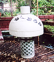 ��`�Ƃ��ʐ^