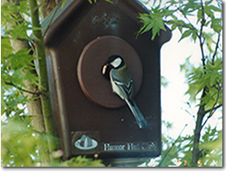 �쒹�p����NOOK