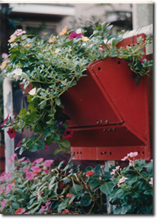 �΂ɉԂ��炩����@�ΏΉ�