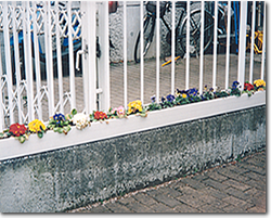 �t�F���X�̉��ƃR���N���[�g�Ƃ̌��ԂɉԒd�����