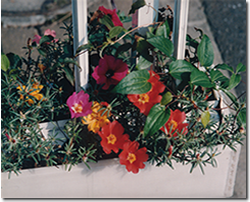 �t�F���X���̃R���N���[�g�Ƃ̌��ԂɉԒd�����@�Δ���