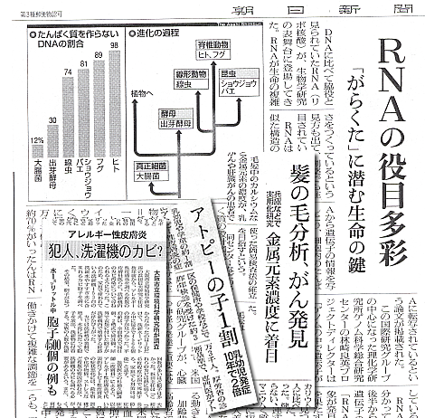 �V���L���@�[���ȃA�g�s�[���