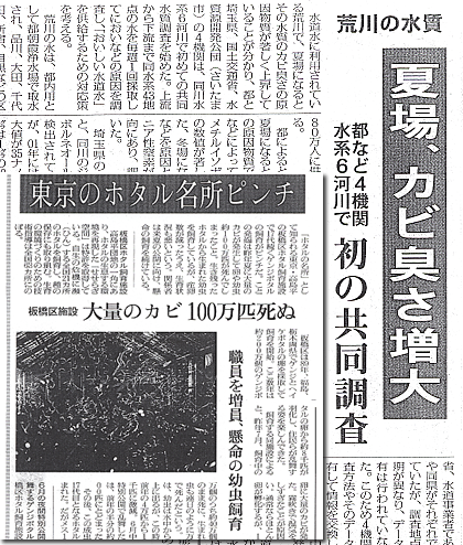 �V���L���@�����̉͐�J�r�L������