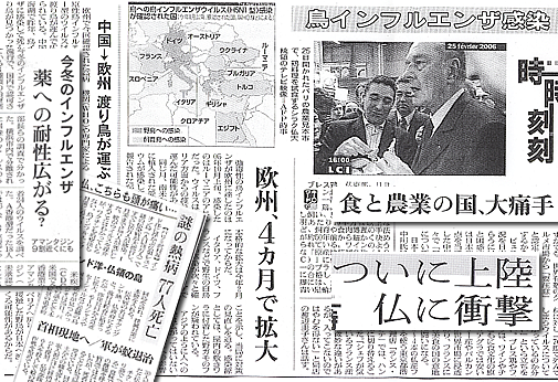 �V���L���@���C���t���G���U�[��