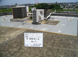 �ȃG�l���C�H���ʐ^