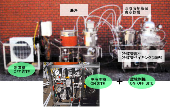 ���t��I�[������b�V���[�S�i